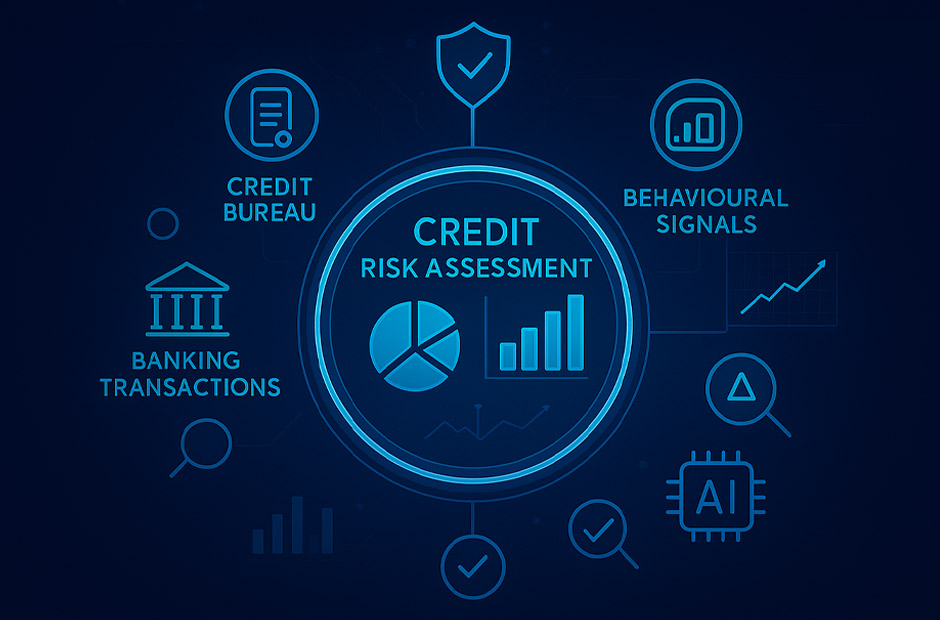 Credit Risk Assessment