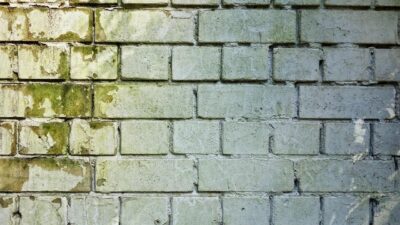 Essential Steps for Successful Flood Water Damage Recovery