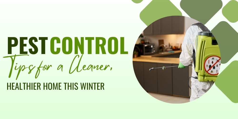 Pest Control Tips for a Cleaner Healthier Home This Winter