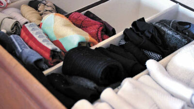 That Bug in Your Sock Drawer Could Be More Than Just Annoying
