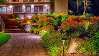 Transforming Your Garden With Strategic Landscape Lighting