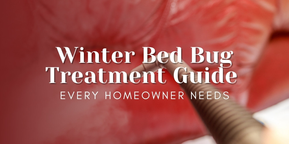 Winter Bed Bug Treatment Guide Every Homeowner Needs