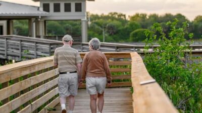 Activities That Support Cognitive Health as We Age