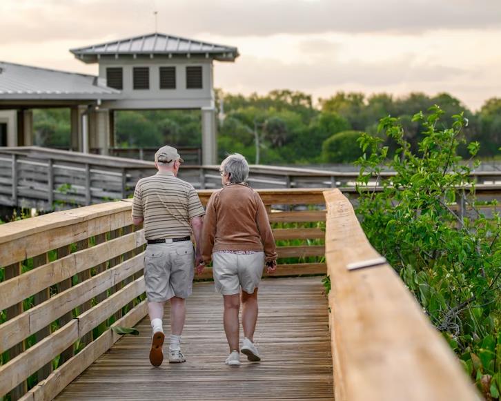 Activities That Support Cognitive Health as We Age