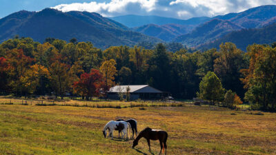 How Families Can Avoid Overplanning in Gatlinburg
