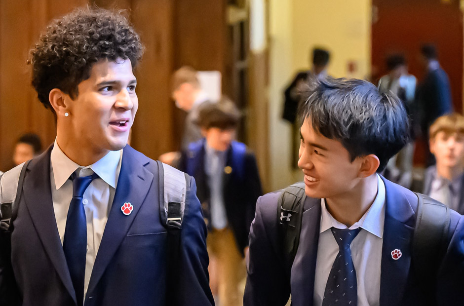 Key Criteria for Picking the Perfect Elite Boarding