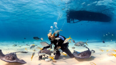 Where To Go Next for Your Next Dive Trip