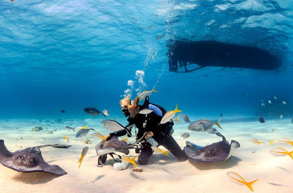 Where To Go Next for Your Next Dive Trip