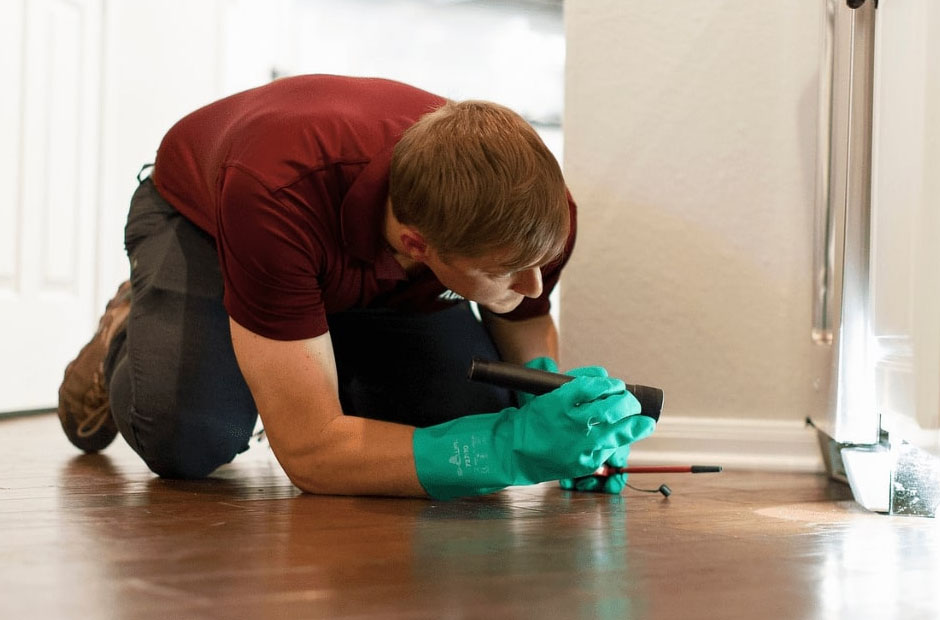 Why Corporate Facilities in Houston Trust Certified Pest Control Specialists for Safety