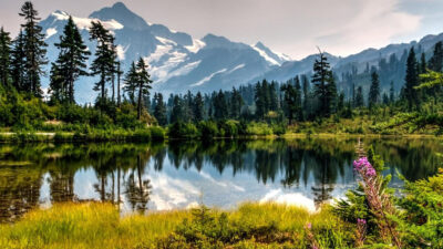 Inside Mount Baker Seattle