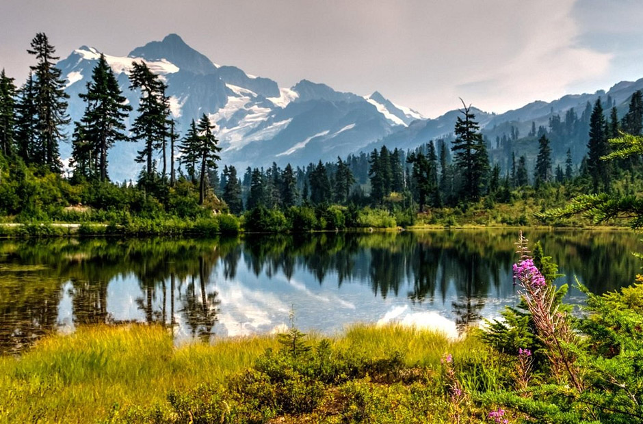 Inside Mount Baker Seattle