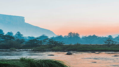 Tree Safety Tips for Storm Season in Pensacola FL