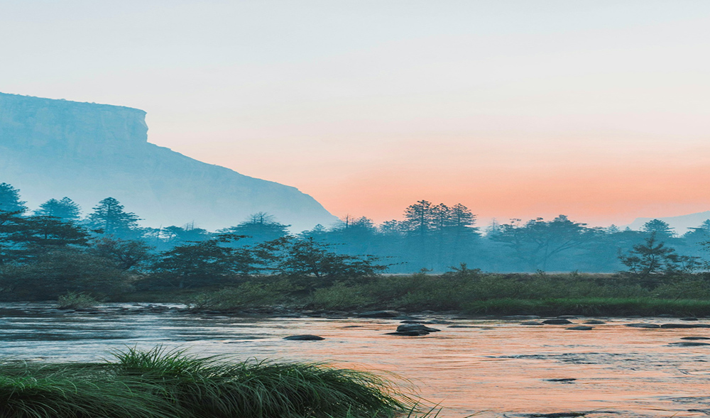 Tree Safety Tips for Storm Season in Pensacola FL