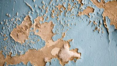 The Hidden Dangers Lurking Behind Water Damage