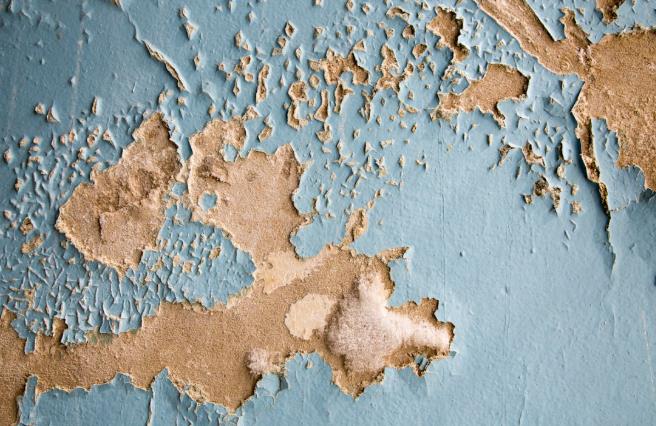 The Hidden Dangers Lurking Behind Water Damage