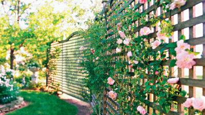 How Landscaping and Stylish Fencing Can Transform Your Homes Exterior