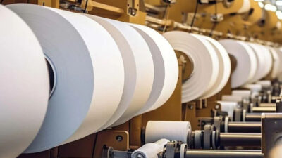 Modern Challenges and Solutions in the Pulp and Paper Industry