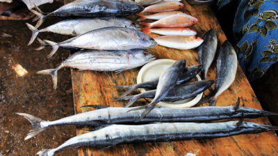Sustainable Seafood Choices for a Healthier Lifestyle