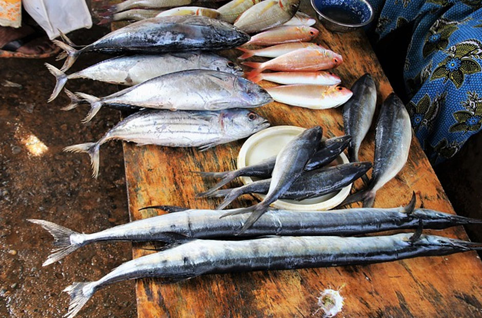 Sustainable Seafood Choices for a Healthier Lifestyle