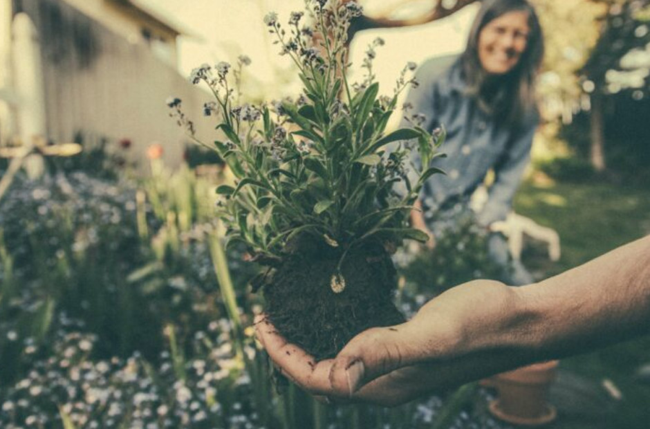 9 Sustainable Gardening Tips for Homeowners