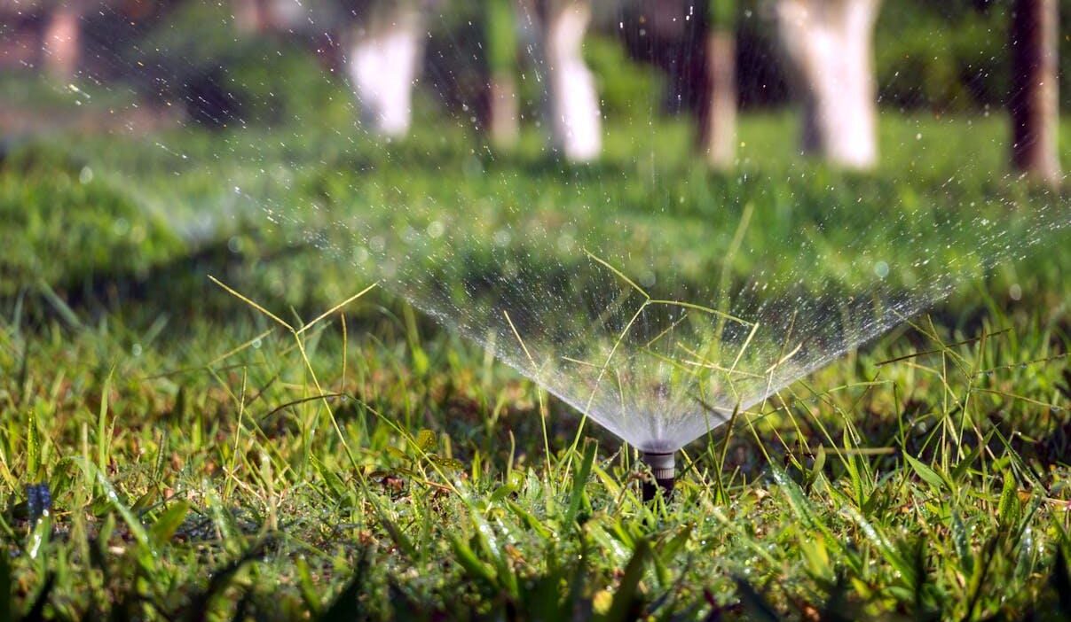 How Proper Sprinkler Maintenance Supports a Healthy Lawn