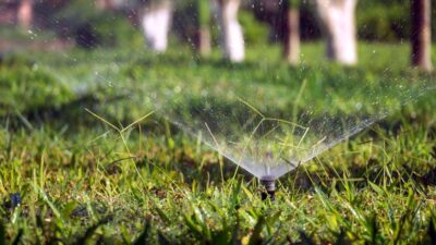 How Proper Sprinkler Maintenance Supports a Healthy Lawn