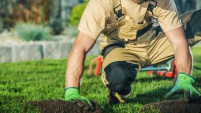 Dealing with HOA Lawn Rules Without Spending a Fortune