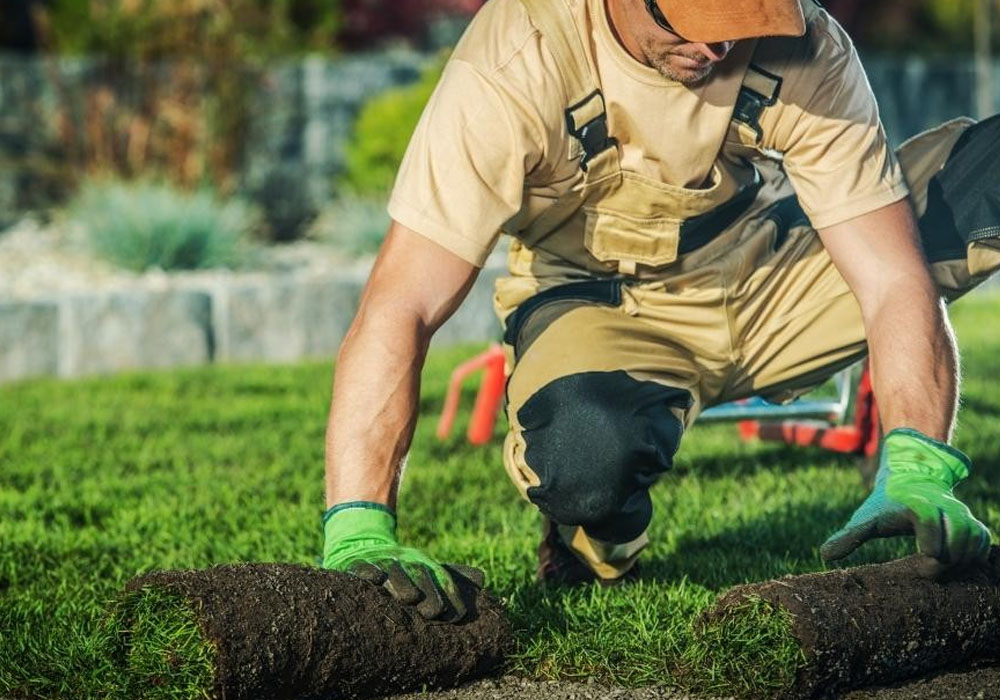 Dealing with HOA Lawn Rules Without Spending a Fortune
