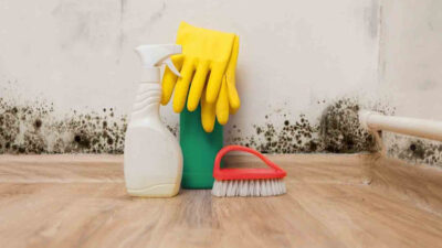 Effective Ways to Prevent Mold Growth in Your Home
