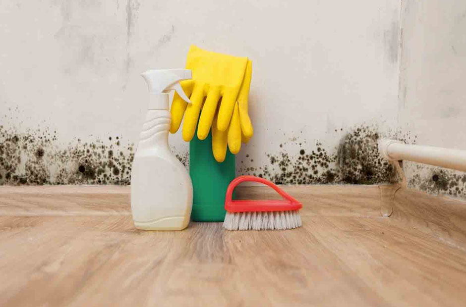 Effective Ways to Prevent Mold Growth in Your Home